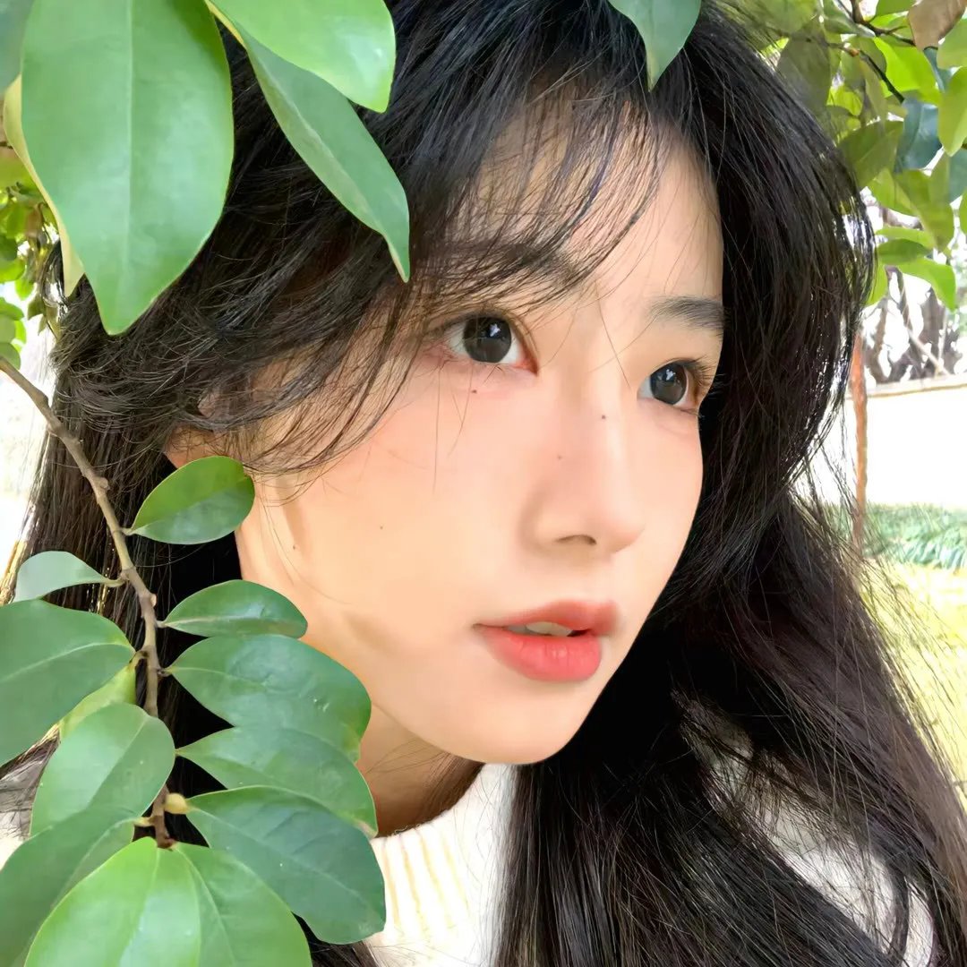 米德尔马契